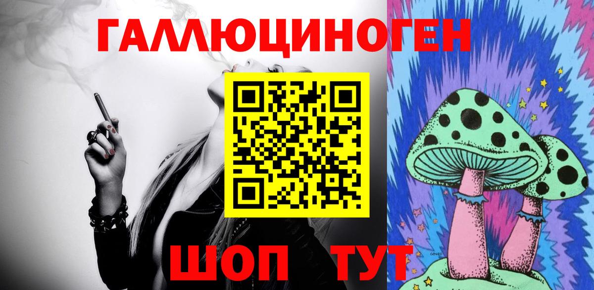 Находка  Галлюциногенные грибы Psilocybe  Вход с VPN 
